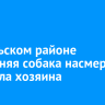 В Усольском районе домашняя собака насмерть загрызла хозяина