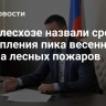 В Рослесхозе назвали срок наступления пика весеннего сезона лесных пожаров