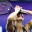 Чемпионка всерьёз и надолго: Соболенко защитила титул на US Open и заставила вспомнить о золотых временах Уильямс