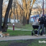 За столетие в Белгородской области родился только один мальчик с именем Май