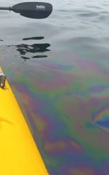 Отдых под угрозой: популярный остров в Приморье накрыло нефтяным пятном