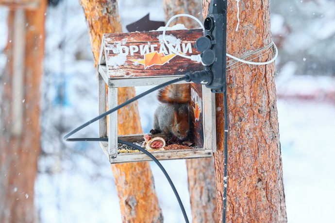 Плюсовая температура сохранится в Якутске и ряде районов