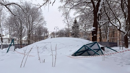 В щёкинском парке из-за снегопада обрушился павильон