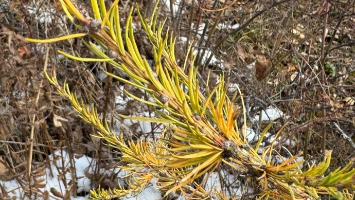 Аномальное тепло: в Башкирии дали неожиданный прогноз погоды Аномальное тепло: в Башкирии дали неожиданный прогноз погоды