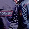«Яжемать» получила «уголовку»: женщина из Лесозаводска заплатит за нападение на полицейского