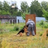 В УФСИН по Мордовии выявили лучших специалистов-кинологов в рамках соревнований по многоборью