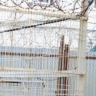 Жителя Саранска отправили в колонию за жестокое избиение знакомого