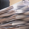 Комитет по бюджету и налогам рассмотрел проекты бюджетов внебюджетных фондов на 2026-2028 годы