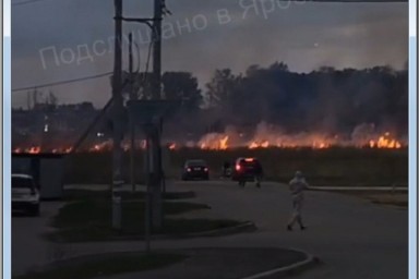 В Ярославском районе несколько часов тушили пал травы