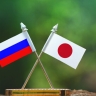 Чиновники Японии прибыли в Россию для обсуждения сотрудничества и защиты интересов компаний