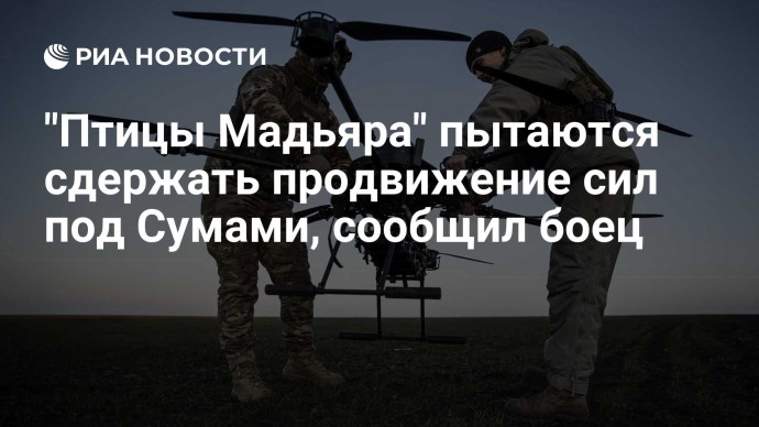 "Птицы Мадьяра" пытаются сдержать продвижение сил под Сумами, сообщил боец