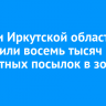 Жители Иркутской области отправили восемь тысяч бесплатных посылок в зону СВО