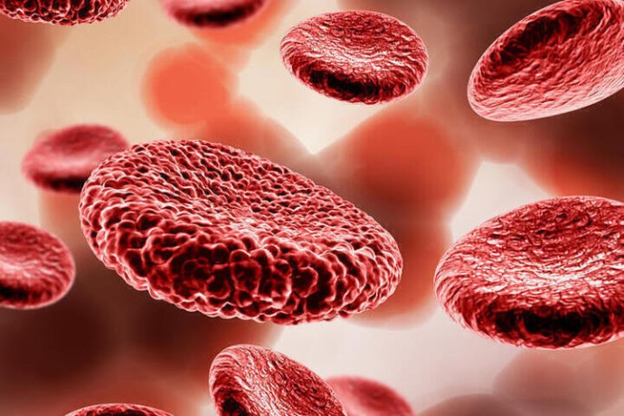 В ней часть инопланетного ДНК: Ученые определили самую уникальную группу крови В ней часть инопланетного ДНК: Ученые определили самую уникальную группу крови