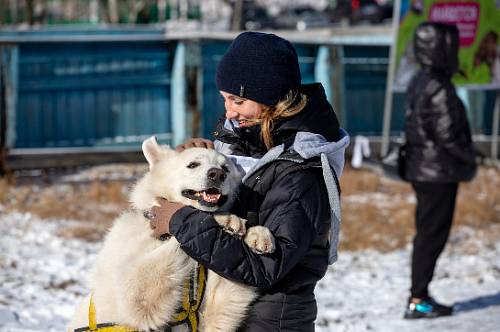 В Приамурье повышают «культуру» обращения с животными
