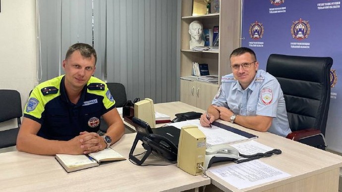 Тульские автоинспекторы спасли лошадь, метавшуюся на трассе