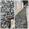 Во Владивостоке неизвестные разбросали крысиную отраву в центре города