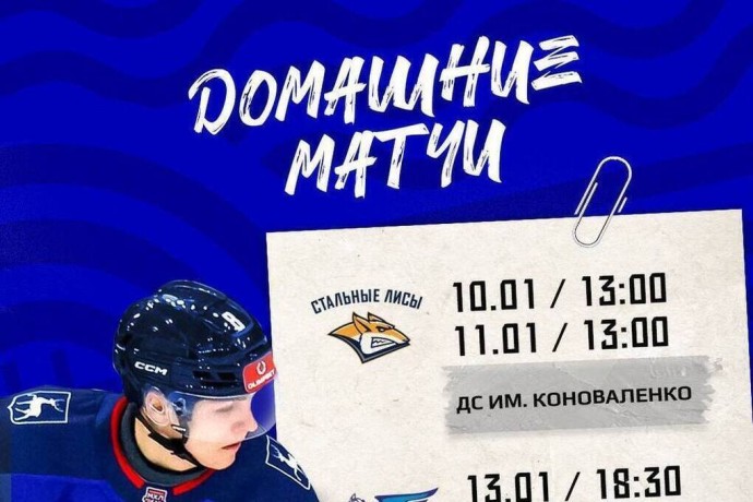 «Чайка» начинает год домашней серией против «Стальных Лис»