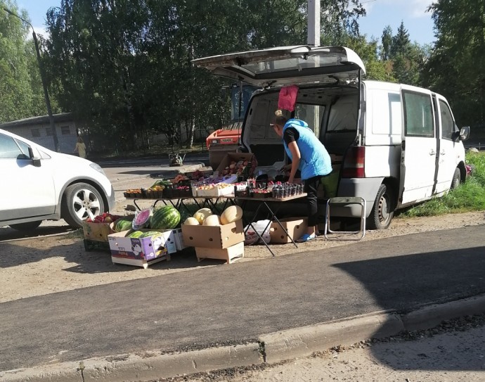 Несущие опасность бабушки и их коллеги пополнили казну Костромы почти на 90 тысяч рублей