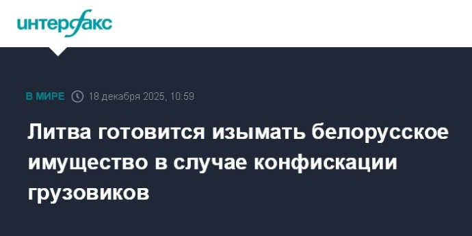 Литва готовится изымать белорусское имущество в случае конфискации грузовиков