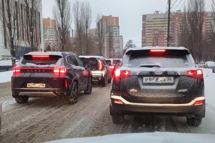 Только автомобильный 98-й бензин продолжает расти в цене