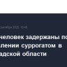 Восемь человек задержаны по делу об отравлении суррогатом в Ленинградской области