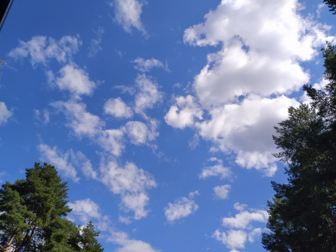 Ярославцев предупреждают о продолжении опасной жары Ярославцев предупреждают о продолжении опасной жары