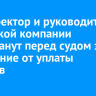Гендиректор и руководитель иркутской компании предстанут перед судом за уклонение от уплаты налогов