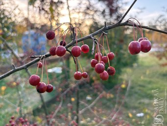 В Улан-Удэ до 5 градусов тепла