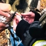 Пожарные Мособлпожспаса откачали кислородом голубей, пострадавших при возгорании