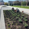 В Курской области в парке «Патриот» высадили 450 роз к Дню Победы