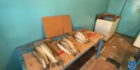 В Астрахани в торговых точках супругов торговали «левой» табачной продукцией