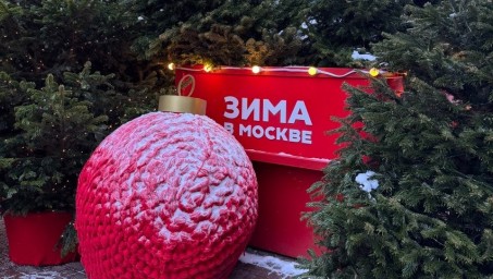 Куда поехать на Новый год из Уфы: интересный маршрут с посещением двух столиц