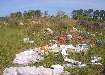 «Место захламлено отходами»: в Приамурье выявили нелегальную свалку