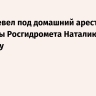 Суд перевел под домашний арест замглавы Росгидромета Наталию Радькову