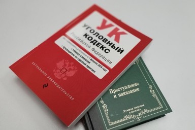 Оперативники задержали юную новгородку, которая пыталась совершить теракт 9 мая