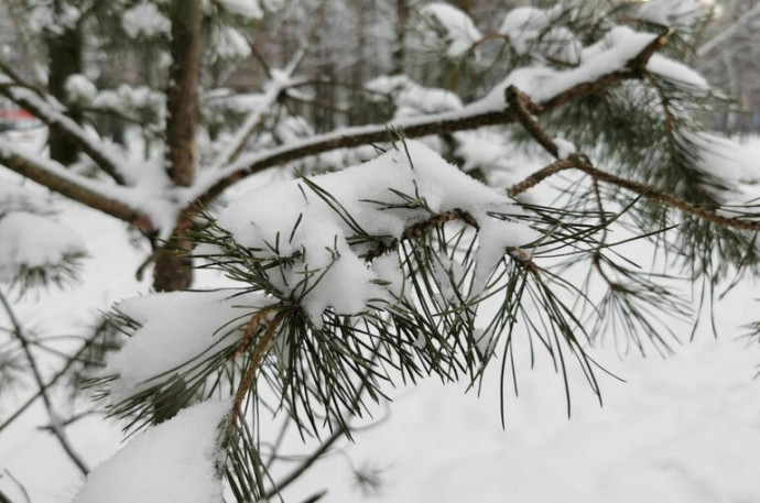 В Апшеронском районе Кубани из-за непогоды ввели режим ЧС В Апшеронском районе Кубани из-за непогоды ввели режим ЧС