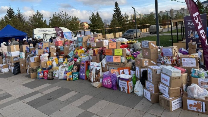 Благодаря акции «Ищу человека» в Уфе собрали рекордное количество корма Благодаря акции «Ищу человека» в Уфе собрали рекордное количество корма