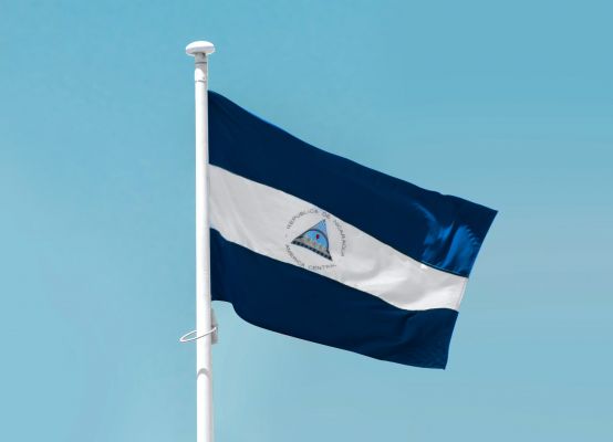 Национальная ассамблея Никарагуа утвердила торговые соглашения с ДНР и Севастополем