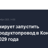 РФ планирует запустить нефтепродуктопровод в Конго до конца 2029 года