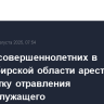 Двое несовершеннолетних в Новосибирской области арестованы за попытку отравления военнослужащего