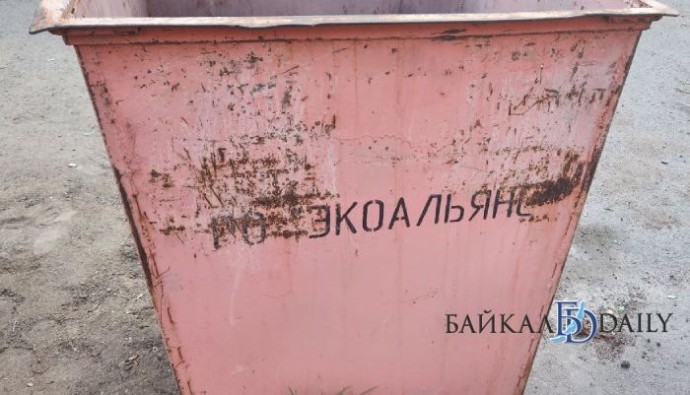 Жителей Бурятии начнут по-крупному штрафовать из-за веток да листьев