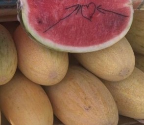 20 тонн иностранных дынь приехали в Кострому туда, где их не ждали