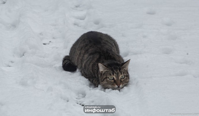 Мокрый снег: что метеорологи обещают астраханцам 18 декабря Мокрый снег: что метеорологи обещают астраханцам 18 декабря