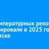 Ряд температурных рекордов зафиксировали в 2025 году в Иркутске