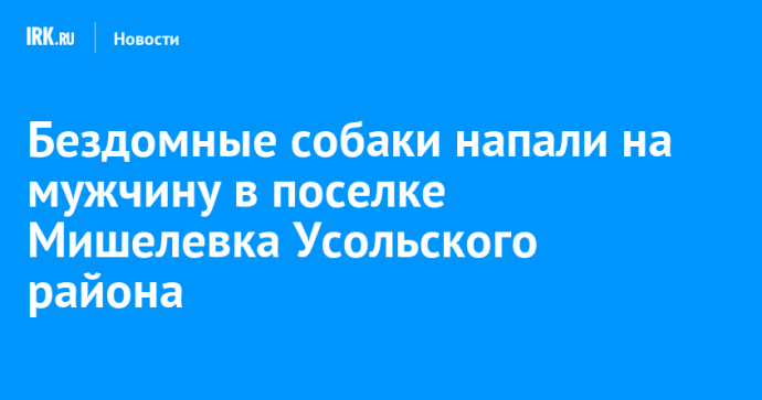 Бездомные собаки напали на мужчину в поселке Мишелевка Усольского района