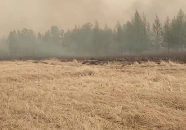 В Бурятии около детского лагеря разбушевался мощный лесной пожар