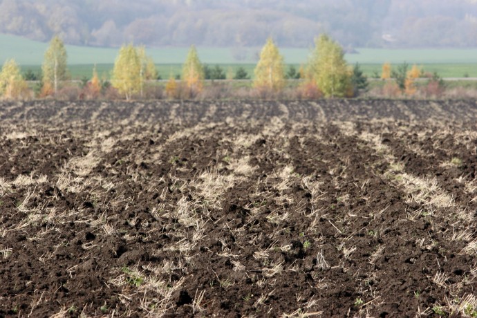 Матвиенко призвала жёстче спрашивать с владельцев неиспользуемых сельхозземель