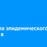 За неделю 1 137 жителей Иркутской области пострадали от укусов клещей