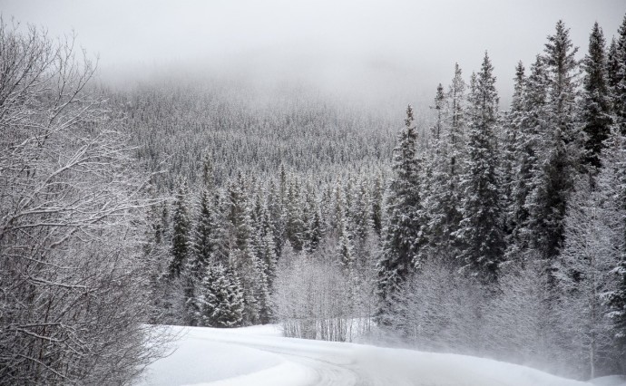 Дороги по двум маршрутам закрыли на Сахалине из-за метели