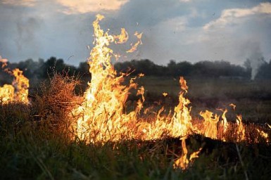 В Белогорье загорелась сухая трава